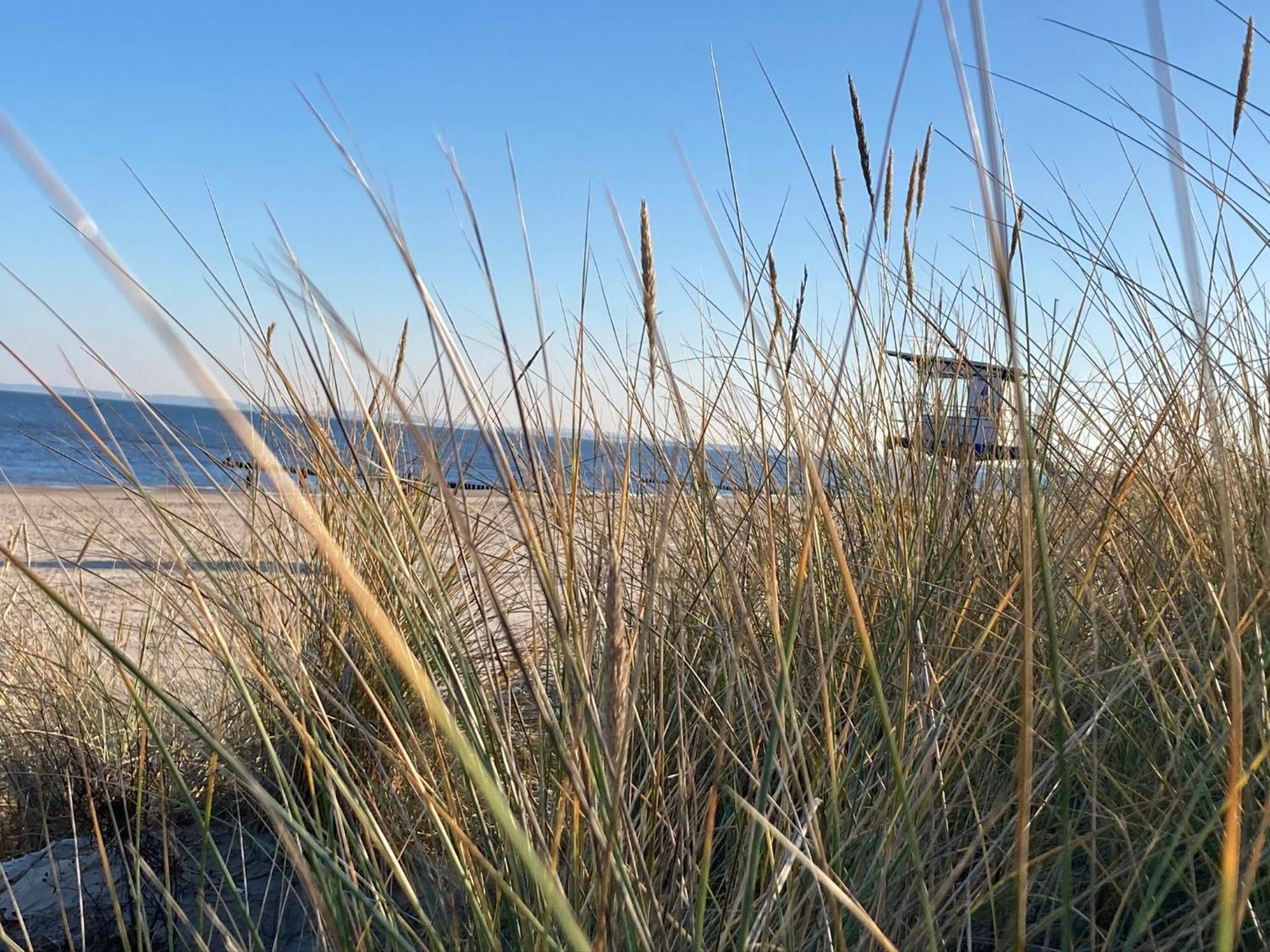 Ferienwohnungen Ostsee & Mehr Heringsdorf  Kültér fotó